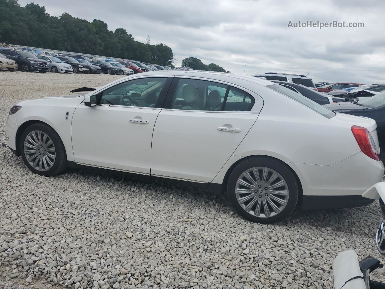 2014 Lincoln Mks  Белый vin: 1LNHL9EK4EG607800