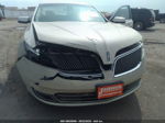 2014 Lincoln Mks Кремовый vin: 1LNHL9EK5EG607157