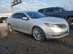 2014 Lincoln Mks  Gray vin: 1LNHL9FT2EG612968