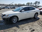 2014 Nissan Maxima S White vin: 1N4AA5AP0EC443769