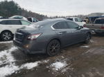 2014 Nissan Maxima S Gray vin: 1N4AA5AP0EC446381