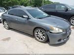 2014 Nissan Maxima 3.5 S Серый vin: 1N4AA5AP0EC454707