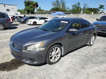 2014 Nissan Maxima S Gray vin: 1N4AA5AP0EC473287