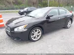 2014 Nissan Maxima 3.5 S/3.5 Sv Темно-бордовый vin: 1N4AA5AP0EC482068