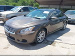 2014 Nissan Maxima 3.5 Sv Brown vin: 1N4AA5AP0EC494379