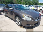 2014 Nissan Maxima 3.5 Sv Brown vin: 1N4AA5AP0EC494379