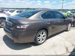 2014 Nissan Maxima 3.5 Sv Brown vin: 1N4AA5AP0EC494379
