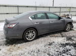 2014 Nissan Maxima S Gray vin: 1N4AA5AP0EC498948