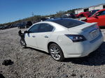 2014 Nissan Maxima S White vin: 1N4AA5AP0EC909992