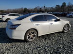 2014 Nissan Maxima S Белый vin: 1N4AA5AP0EC912620