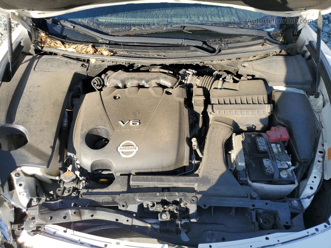 2014 Nissan Maxima S Белый vin: 1N4AA5AP0EC912620