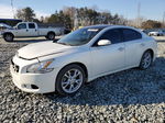 2014 Nissan Maxima S Белый vin: 1N4AA5AP0EC912620
