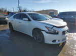 2014 Nissan Maxima S White vin: 1N4AA5AP1EC459785