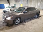 2014 Nissan Maxima S Угольный vin: 1N4AA5AP1EC485514