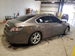 2014 Nissan Maxima S Угольный vin: 1N4AA5AP1EC485514