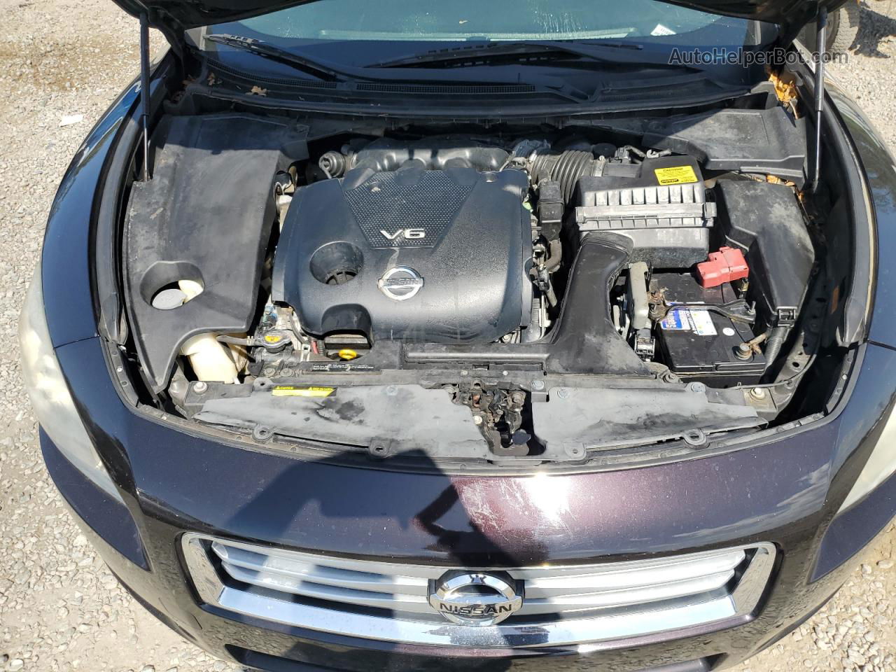 2014 Nissan Maxima S Фиолетовый vin: 1N4AA5AP1EC495590