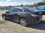 2014 Nissan Maxima S Фиолетовый vin: 1N4AA5AP1EC495590