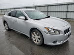 2014 Nissan Maxima S Silver vin: 1N4AA5AP1EC913713