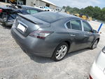 2014 Nissan Maxima S Бежевый vin: 1N4AA5AP2EC432742