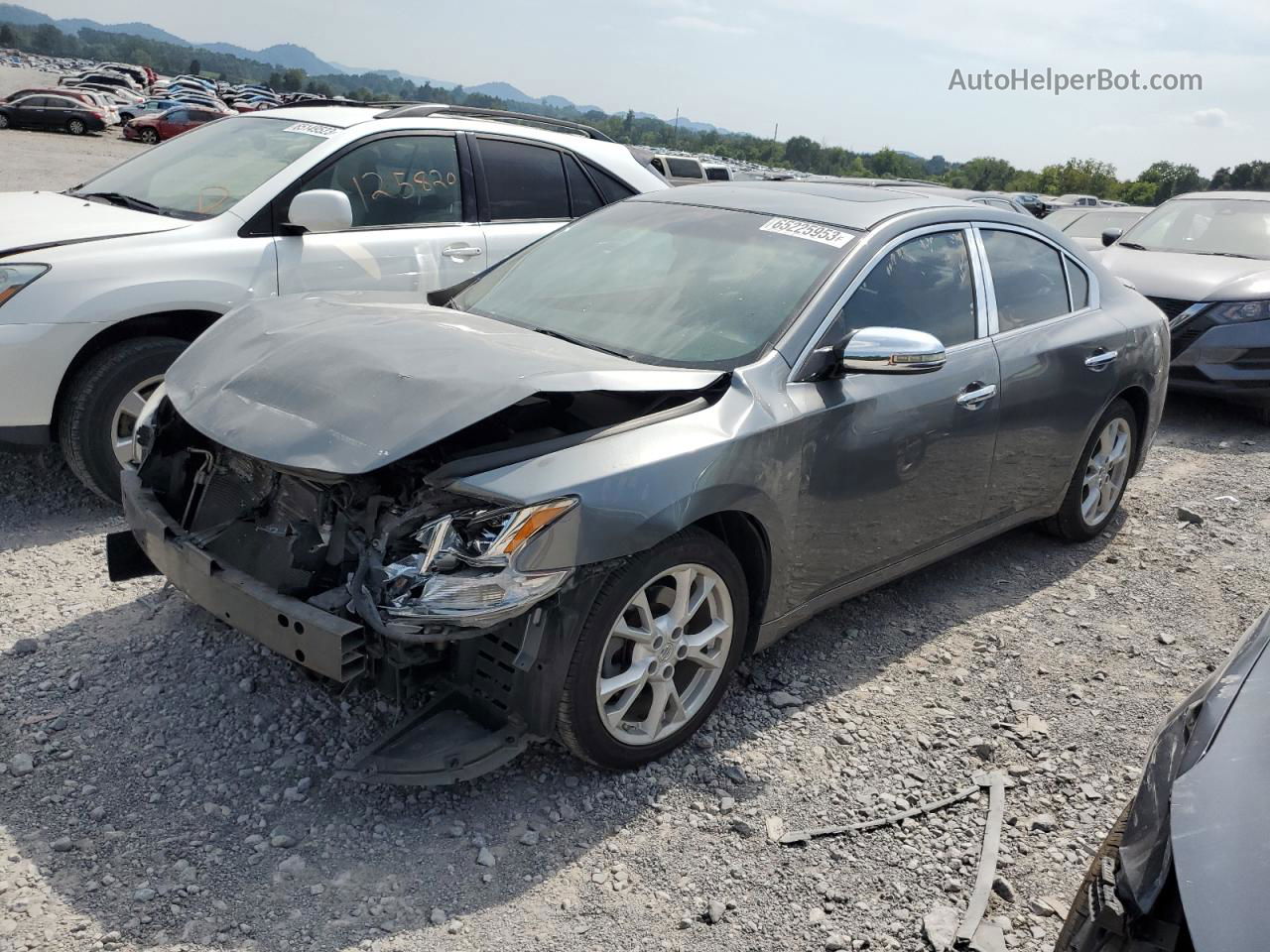 2014 Nissan Maxima S Бежевый vin: 1N4AA5AP2EC432742