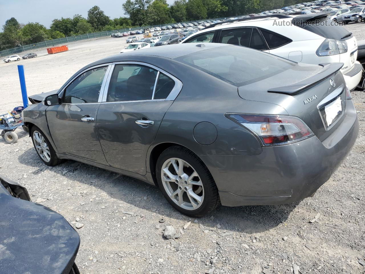 2014 Nissan Maxima S Бежевый vin: 1N4AA5AP2EC432742