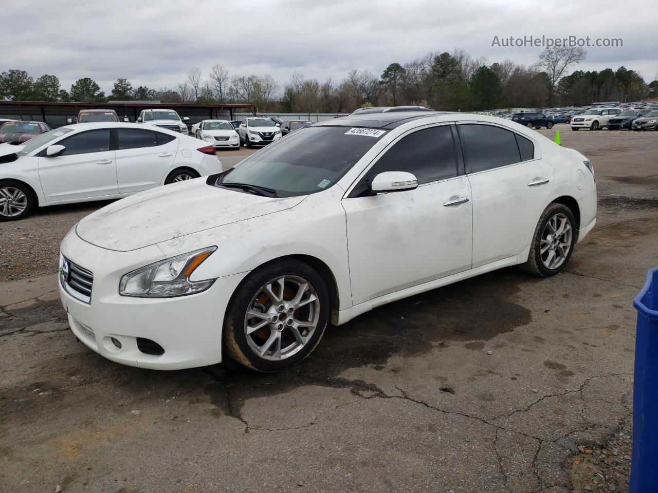 2014 Nissan Maxima S White vin: 1N4AA5AP2EC466244