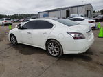 2014 Nissan Maxima S White vin: 1N4AA5AP2EC466244