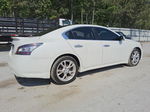 2014 Nissan Maxima S Белый vin: 1N4AA5AP3EC443555