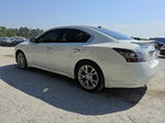 2014 Nissan Maxima S Белый vin: 1N4AA5AP3EC443555