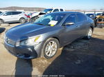 2014 Nissan Maxima 3.5 Sv Gray vin: 1N4AA5AP4EC431527