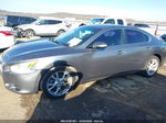 2014 Nissan Maxima 3.5 Sv Gray vin: 1N4AA5AP4EC431527