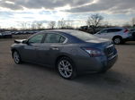 2014 Nissan Maxima S Gray vin: 1N4AA5AP4EC446691