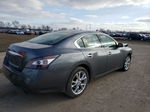 2014 Nissan Maxima S Gray vin: 1N4AA5AP4EC446691