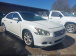 2014 Nissan Maxima 3.5 Sv Белый vin: 1N4AA5AP4EC456203