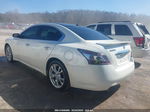 2014 Nissan Maxima 3.5 Sv Белый vin: 1N4AA5AP4EC456203