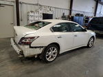 2014 Nissan Maxima S White vin: 1N4AA5AP4EC499665