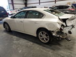 2014 Nissan Maxima S White vin: 1N4AA5AP4EC499665