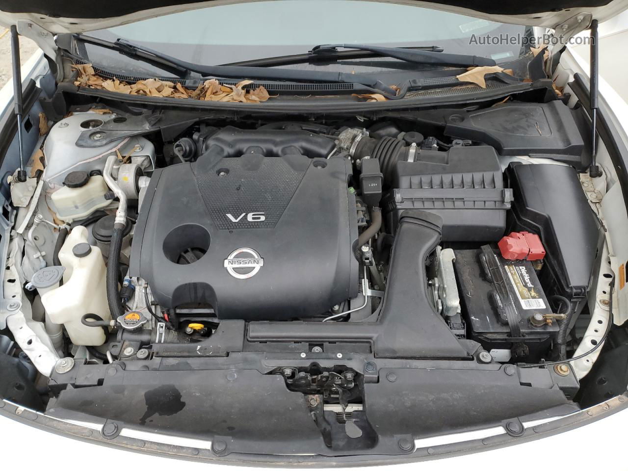 2014 Nissan Maxima S White vin: 1N4AA5AP4EC499665