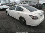 2014 Nissan Maxima 3.5 Sv W/premium Pkg White vin: 1N4AA5AP4EC915648