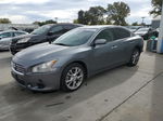 2014 Nissan Maxima S Gray vin: 1N4AA5AP5EC486682