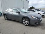 2014 Nissan Maxima S Gray vin: 1N4AA5AP5EC486682