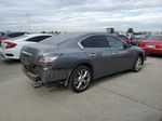 2014 Nissan Maxima S Gray vin: 1N4AA5AP5EC486682