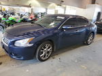 2014 Nissan Maxima S Синий vin: 1N4AA5AP7EC431148