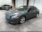 2014 Nissan Maxima 3.5 Sv W/premium Pkg Gray vin: 1N4AA5AP7EC443316