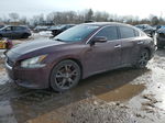 2014 Nissan Maxima S Burgundy vin: 1N4AA5AP7EC477966