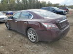 2014 Nissan Maxima S Бордовый vin: 1N4AA5AP8EC437332