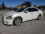 2014 Nissan Maxima S White vin: 1N4AA5AP8EC488622