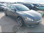 2014 Nissan Maxima 3.5 S Gray vin: 1N4AA5AP9EC433127