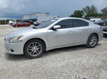2014 Nissan Maxima S Silver vin: 1N4AA5AP9EC470744