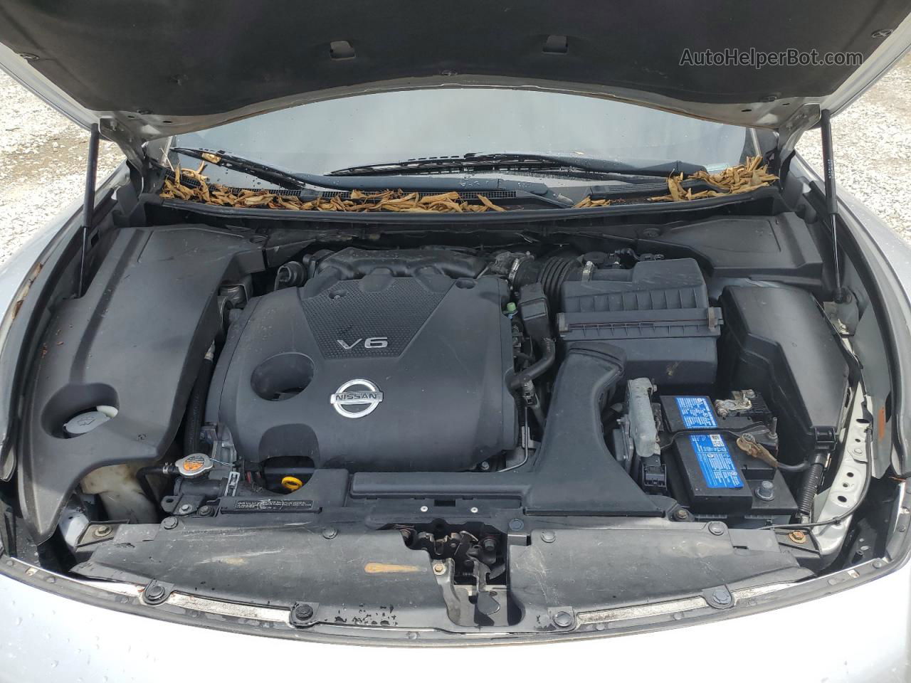 2014 Nissan Maxima S Silver vin: 1N4AA5AP9EC470744